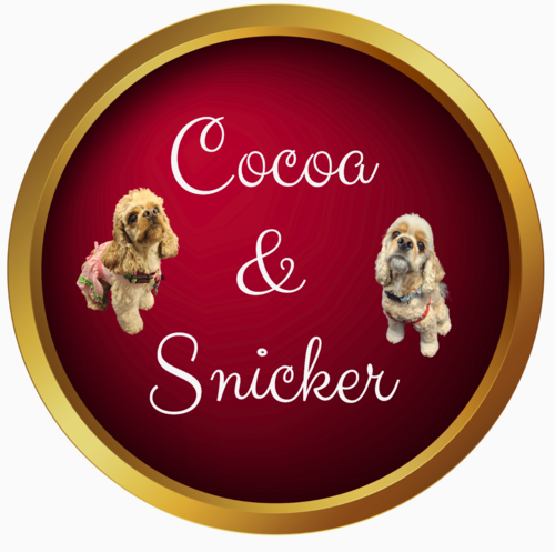 Screenshot 2026-03-23 at 11.45.04 AM.png